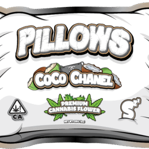 Pillows Coco Chanel