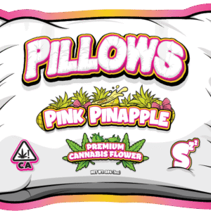 Pillows Pink Pineapple