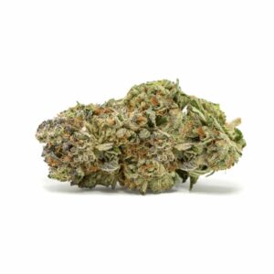 Four Star General Strain