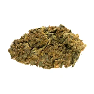 Blackwater Kush Strain