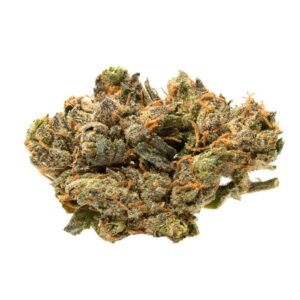 Bubblegum Kush Strain