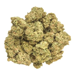 Critical Orange Punch Strain