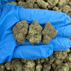 Diamond Runtz – KO214DR