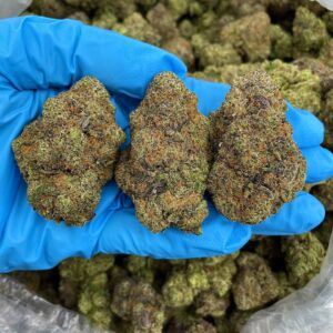 Grapefruit Gelato – RU206RP