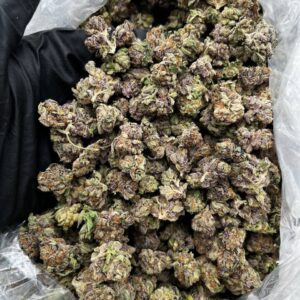 Gary Payton Exotic Smalls