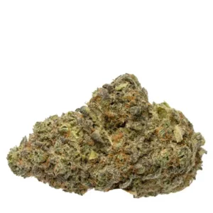 Grape Stomper Strain