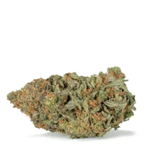 Grapefruit Strain
