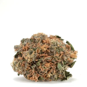 Grease Monkey Strain