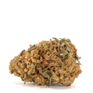 Island Maui Haze Strain