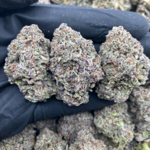 Italian Ice Strain –