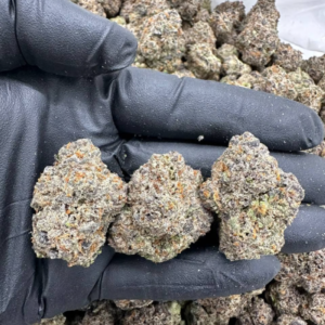 Jungle Mirage – MC702LB