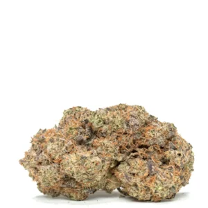 Jet Fuel Gelato Strain