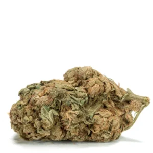 King’s Kush Strain