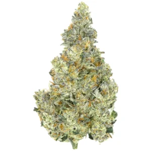 Fritter Glitter Strain