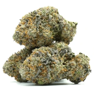 Midnight Special Strain
