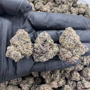 Nuggy Gelato – MC915NG
