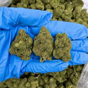 Oreo Sundae Strain – KE109OR