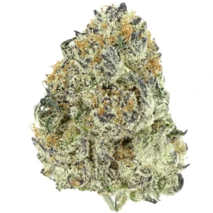 Pineapple Tangie Strain