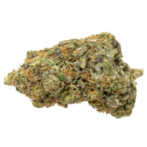 Pink Champagne Strain