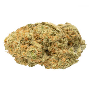 Platinum Cookies Strain