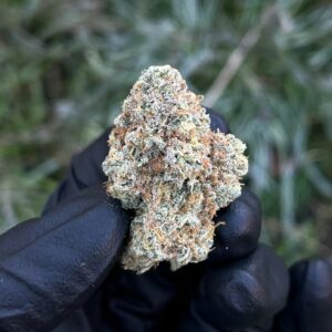 Rainbow Zlushiez Strain –