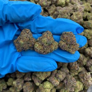 SLUSHEE ICE – KO130SI