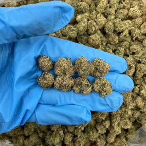 Strawberry Shortcake – PH220SC