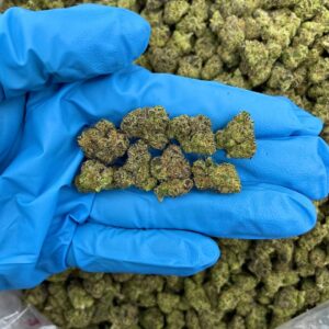 Sundae Stardust – AL214GL