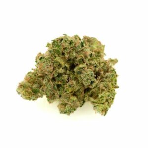 Chocolate Thai Strain