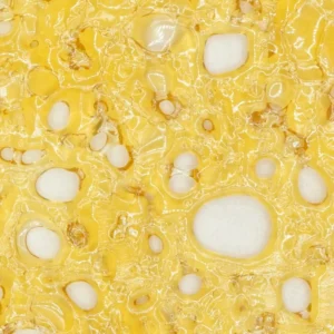 Where’s My Bike Shatter