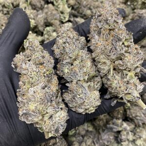 White Gummy Bear –