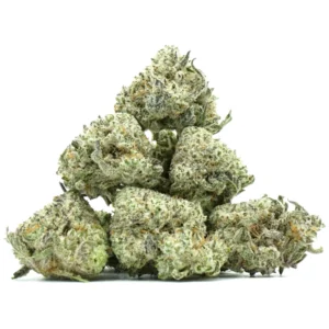 White Truffle Strain Online