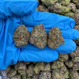 Zkittles Widow – KO130WW