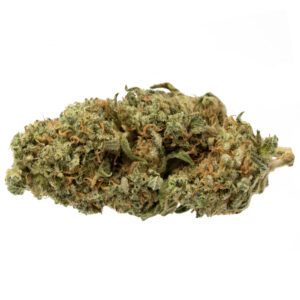 Gorilla Cookies Strain