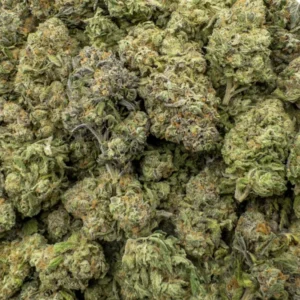 Guava Cake Strain –