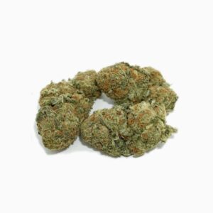 Orange Sherbet Strain