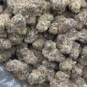 Sprinkles Weed Strain –