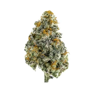 Starfighter Strain