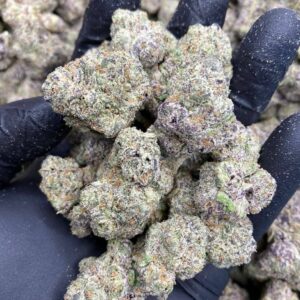 Strawberry Gary Strain